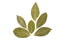 ITS Bay Leaves 500g