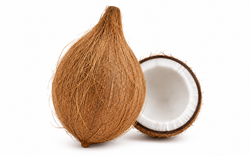 Fresh Coconut Pooja 1 pc
