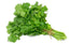 Fresh Coriander Leaf Bunch