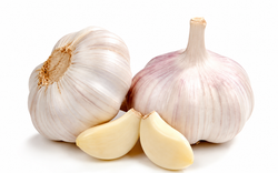 Fresh Garlic