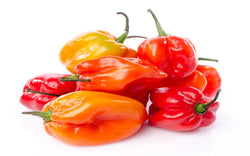 Fresh Hot Red Pepper Chilli 250g