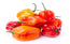 Fresh Hot Red Pepper Chilli 250g
