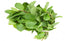 Fresh Mint Leaf (Per Bunch)