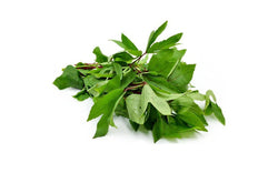 Fresh Gongura Leaves